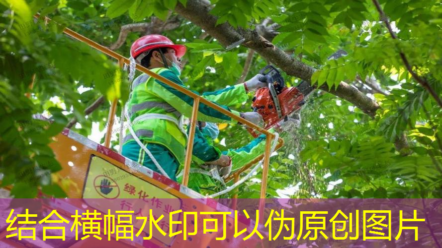 桐城市政绿化护栏