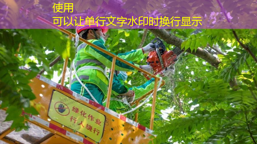 应城旧房改造绿化工程