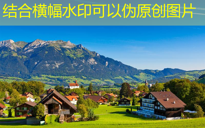 园林绿化工程苗木人罗汉松