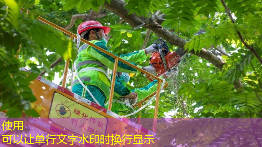 从化园林景观设计师