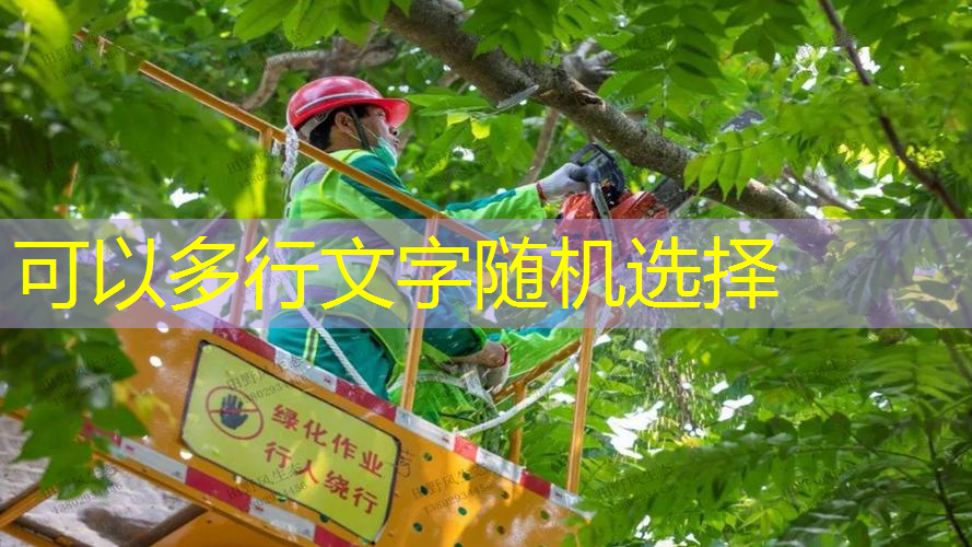 昆山园林绿化处入围名单