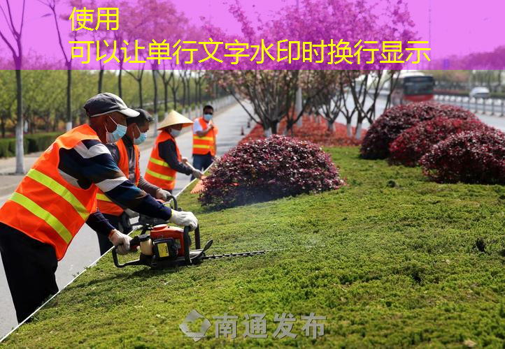 屋顶绿化工程选哪家企业