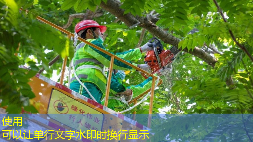 信宜园林绿化工程