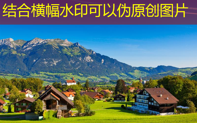 保山绿化养护价格标准文件