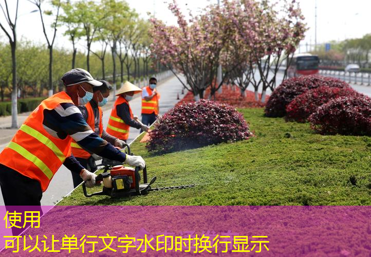 江苏优势园林绿化工程现价