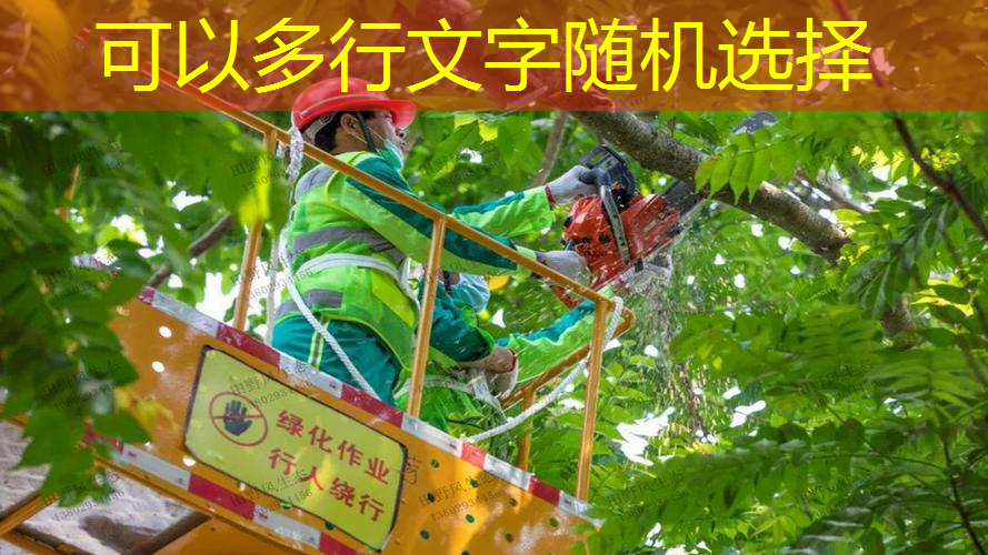 林场绿化工程人物简介怎么写