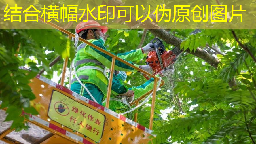 高速公路绿化工程施工讲解