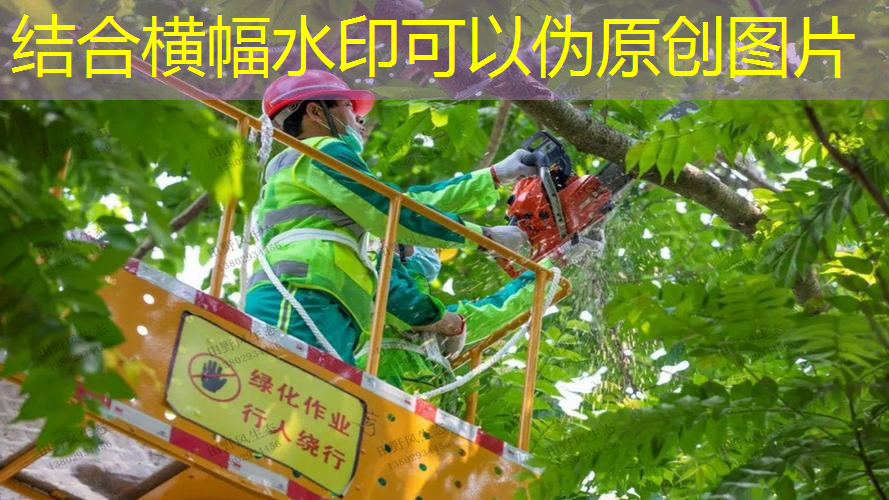 中小企业施行绿化养护的关键问题探讨