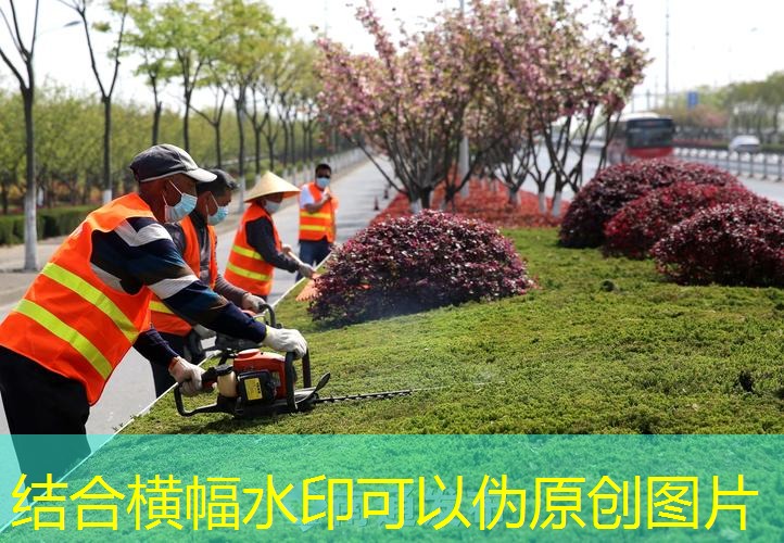 高级绿化工程报价明细怎么写