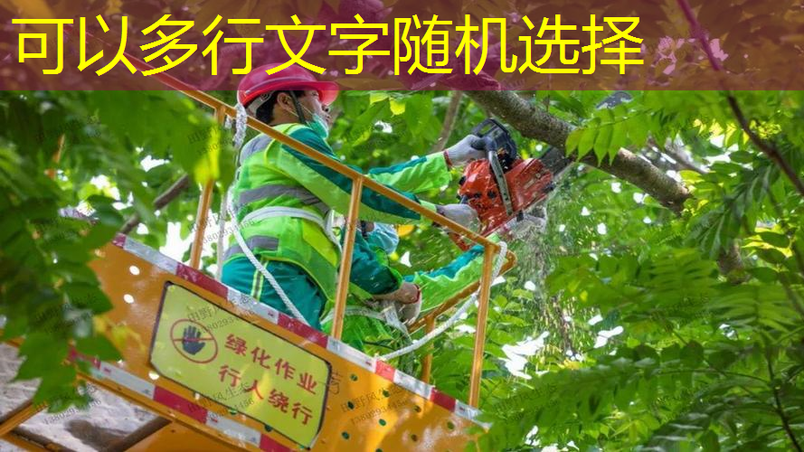 园林管理的循环经济实践与创新技术