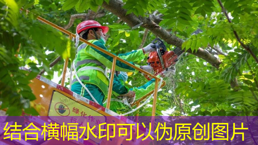 别墅园林景观设计风水