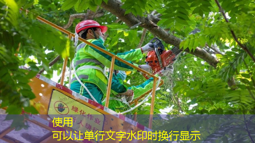 园林绿化工程高光时刻