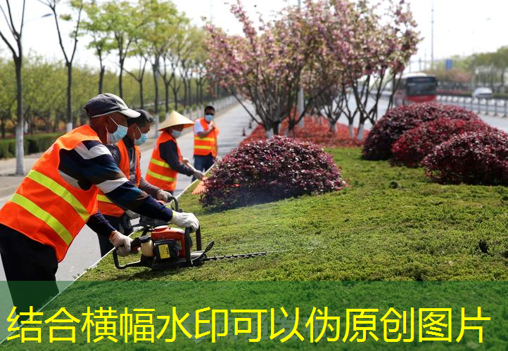 利辛万达一期三期绿化工程