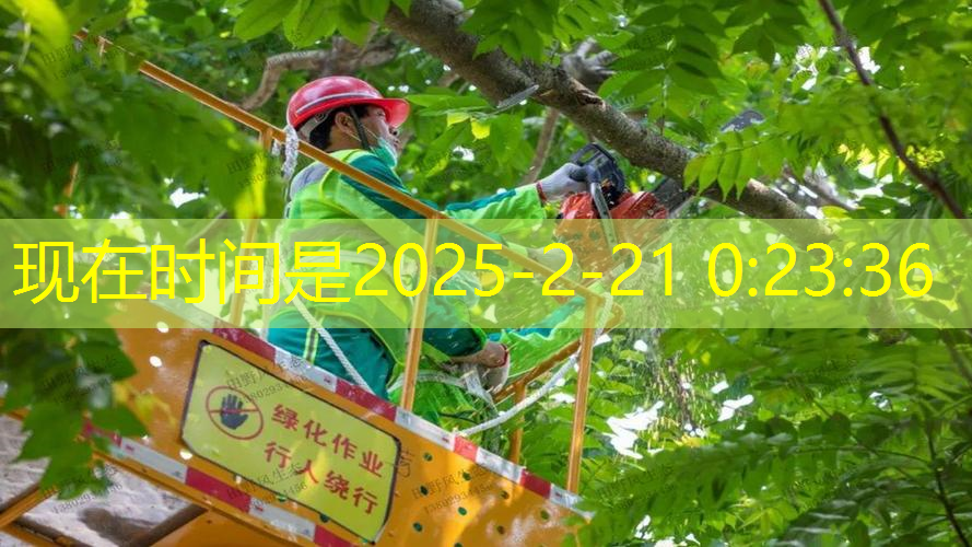 韶关绿化工程竣工验收证明