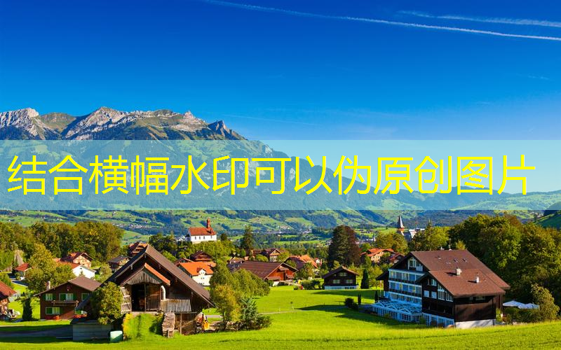 别墅园林景观设计和施工