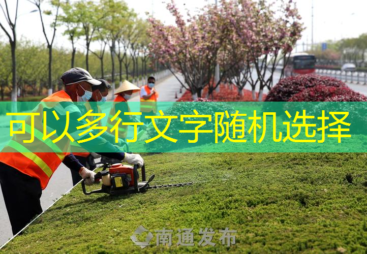 如何选择合适的景观灯具进行园林绿化工程