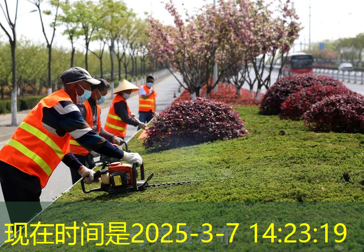 绿化工程用树池格栅吗