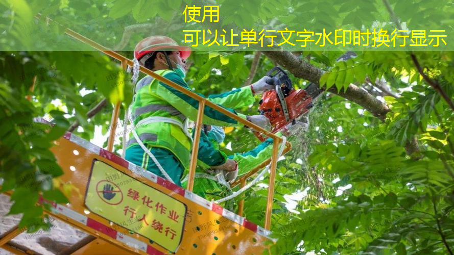 大型绿化工程商标名称怎么写