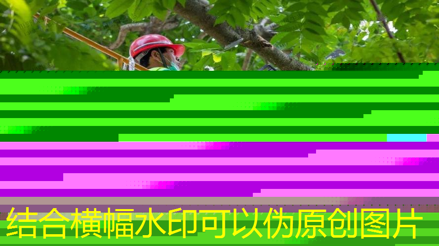 大型浪漫园林景观设计方案