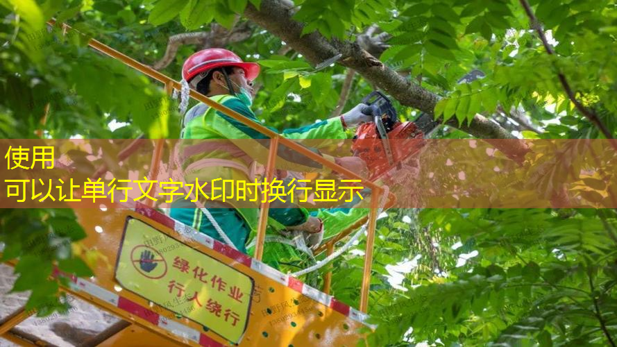如何管理好机关绿化工程