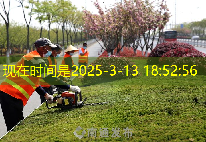 绿化工程完工结算资料费用