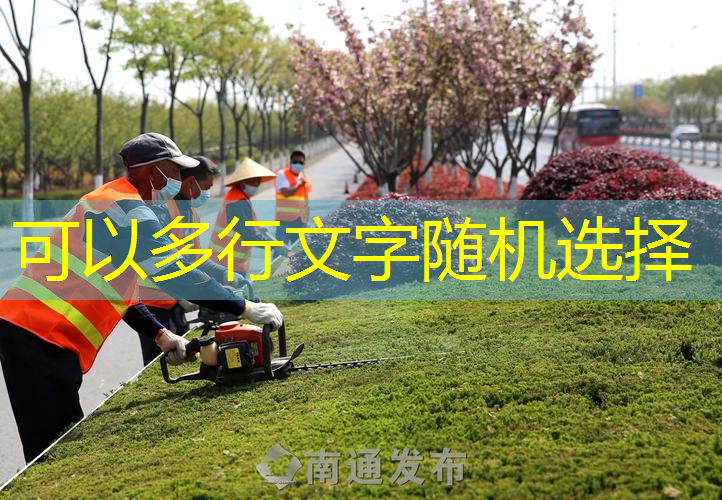 广东绿化工程求购苗