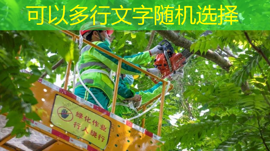佛山绿化工程信息网