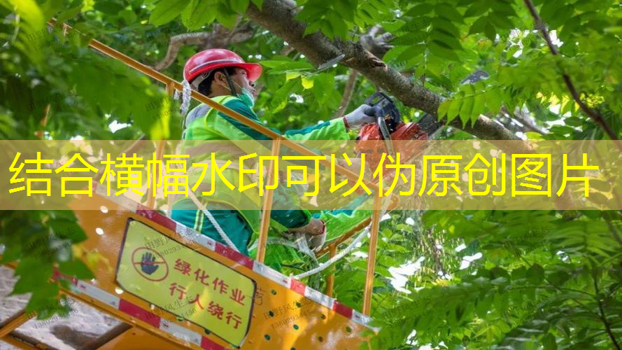 庭院设计施工园林绿化工程