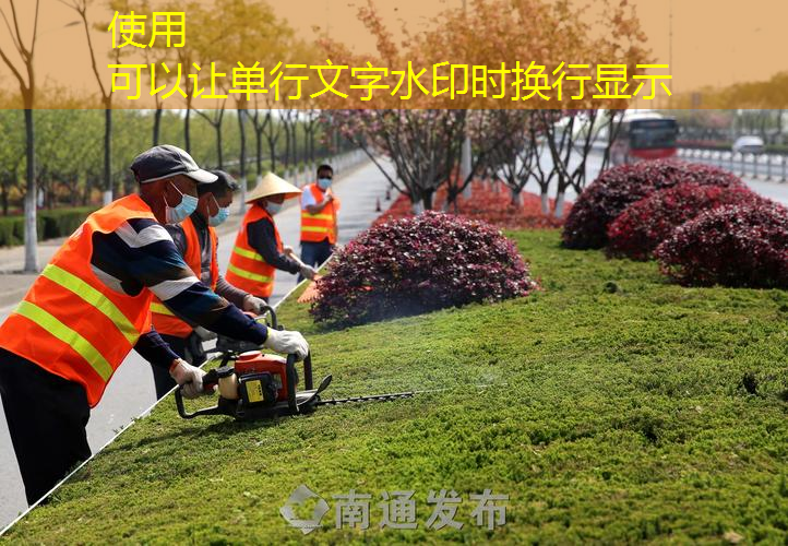 园林管理处问题显而易见，业主维权声起，要求整改及赔偿