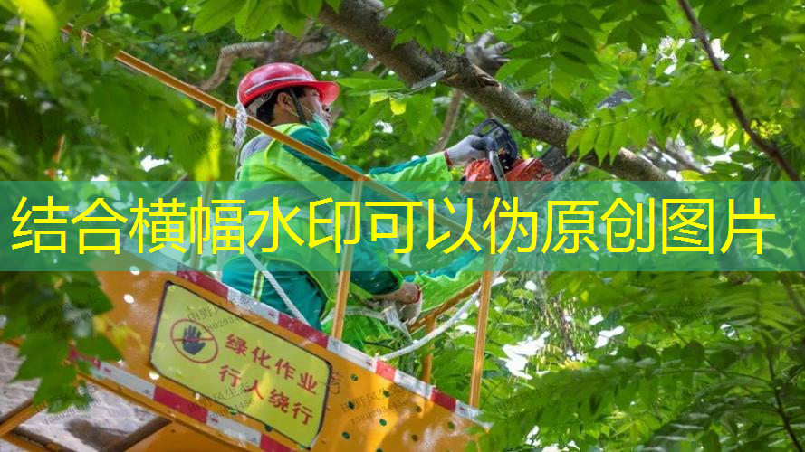 内蒙乌海绿化工程开工仪式